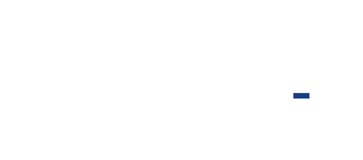 Sportfive Wordmark