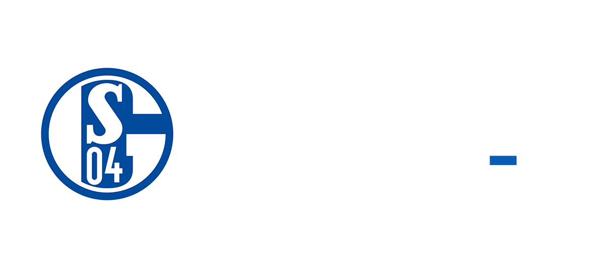 Sportfive Wordmark